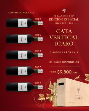 Cata Vertical Icaro